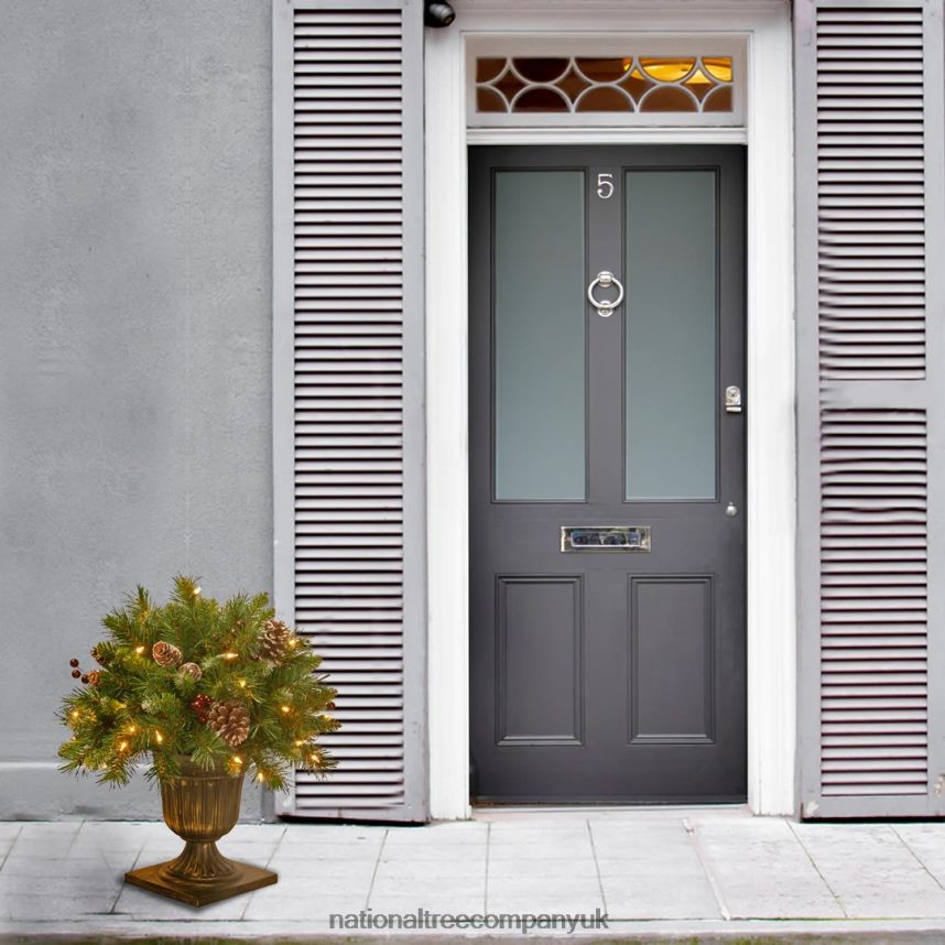 Greenery | National Tree Company 18in Frosted Berry Porch Bush with Clear Lights F2L4F468